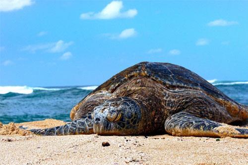 À la découverte de la Guyane